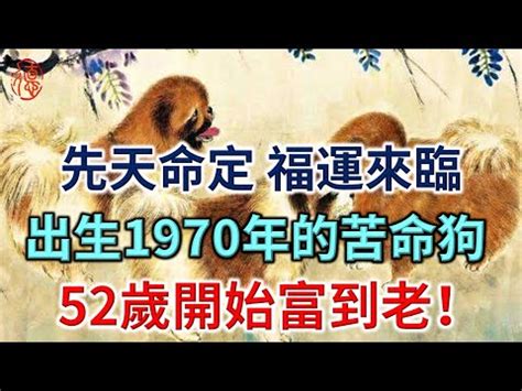 1970屬狗一生運勢|70年狗：苦命狗的十年大運？什麼是福？太精闢了！